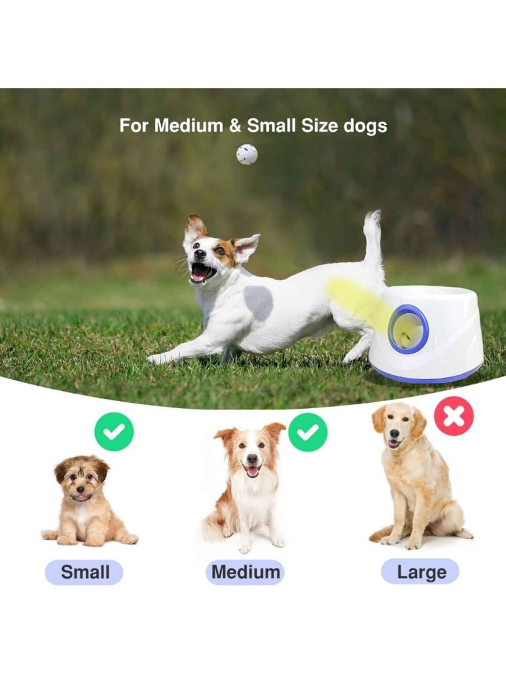 Automatic Dog Ball Launcher with 6 ETPU Balls - Perfect for Small & Medium Dogs - Picture 6 of 7